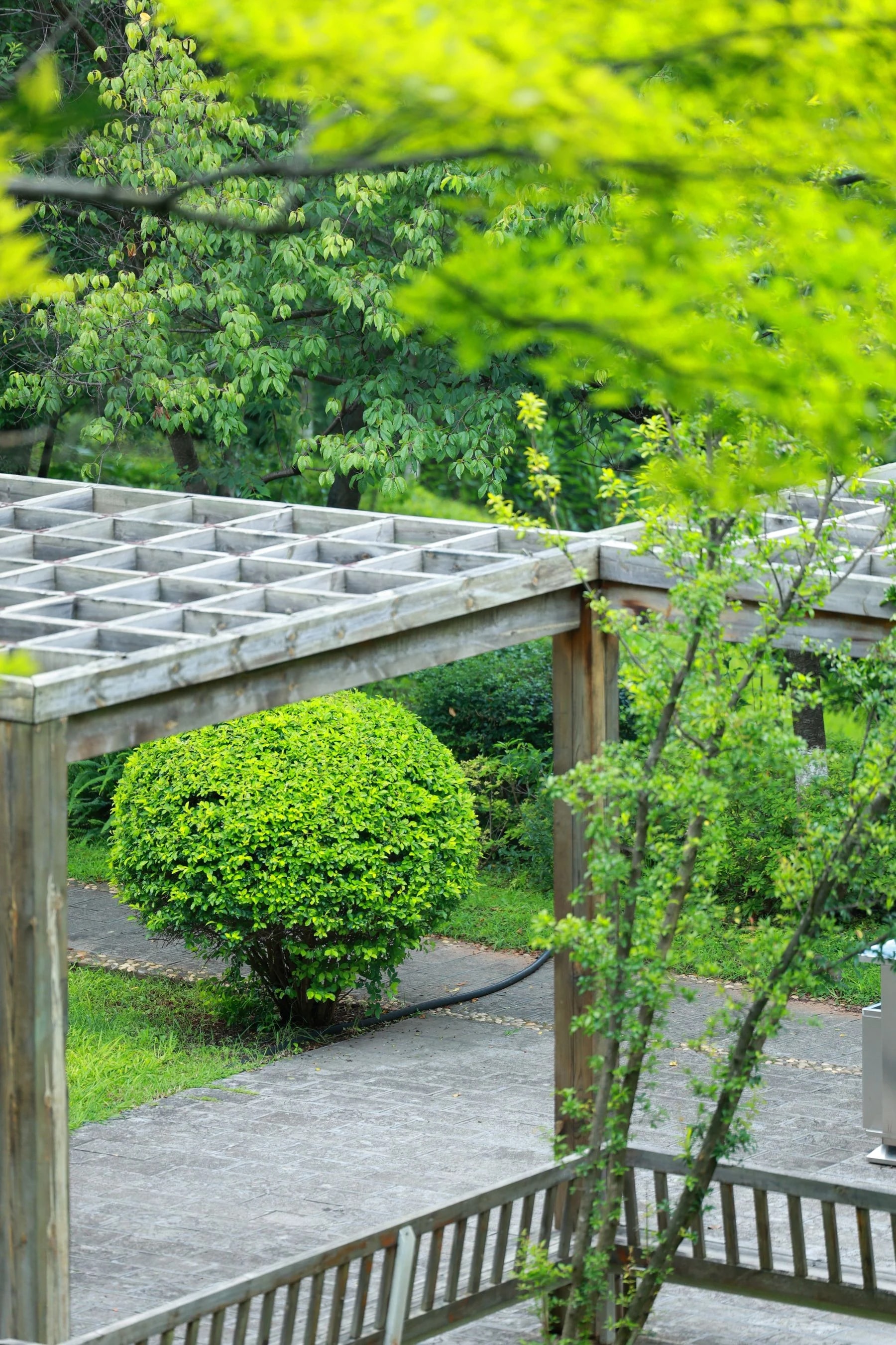 Pergola dans un jardin verdoyant