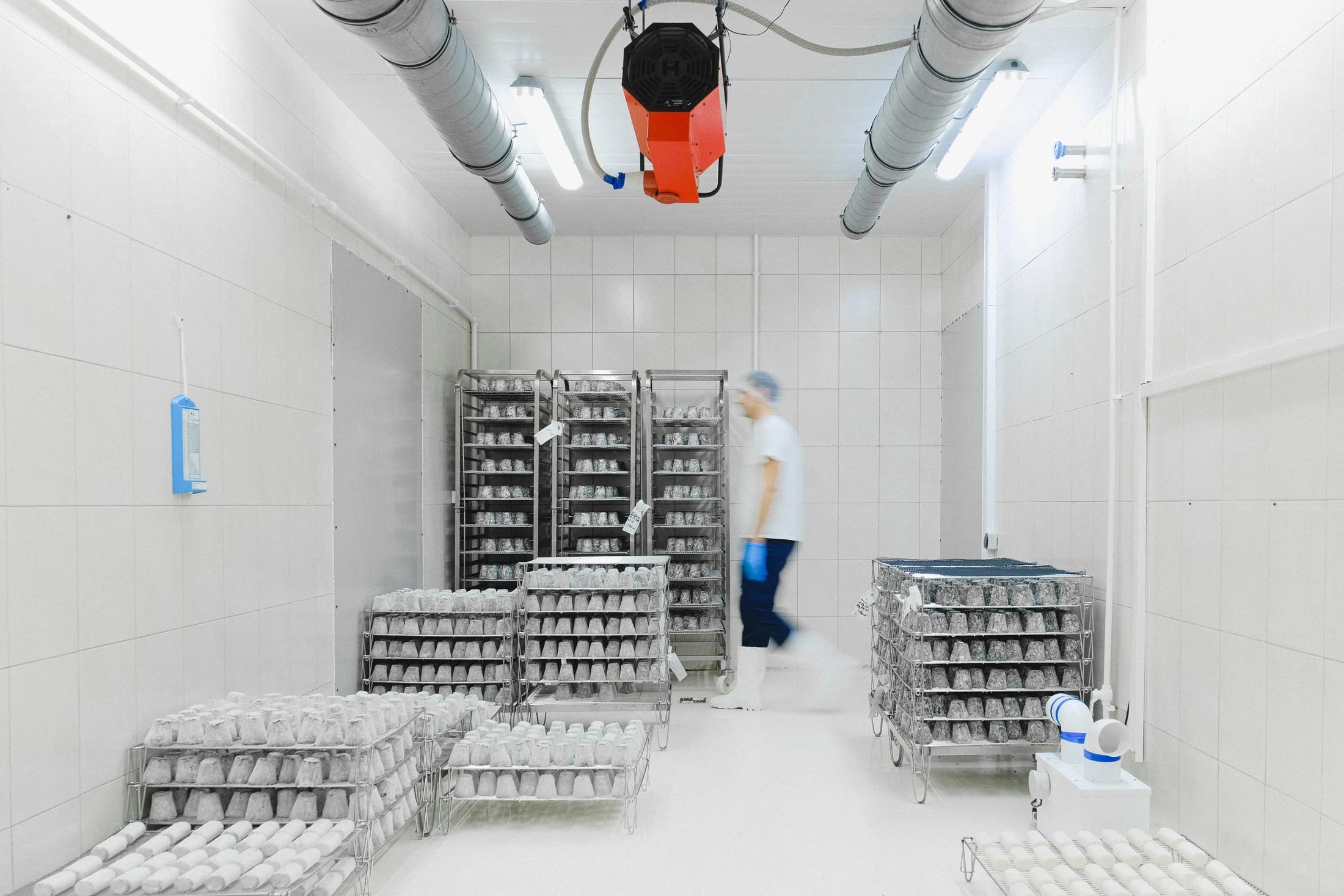 Zone de stockage alimentaire équipée de rayonnages dans un local professionnel