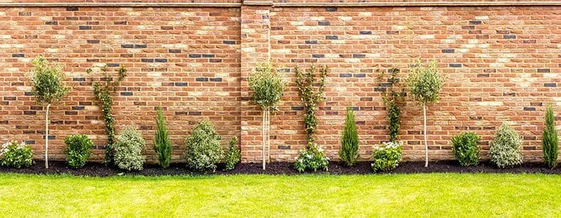 Mur mitoyen : définition et règlementation essentielle